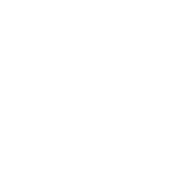 ce logo Salida